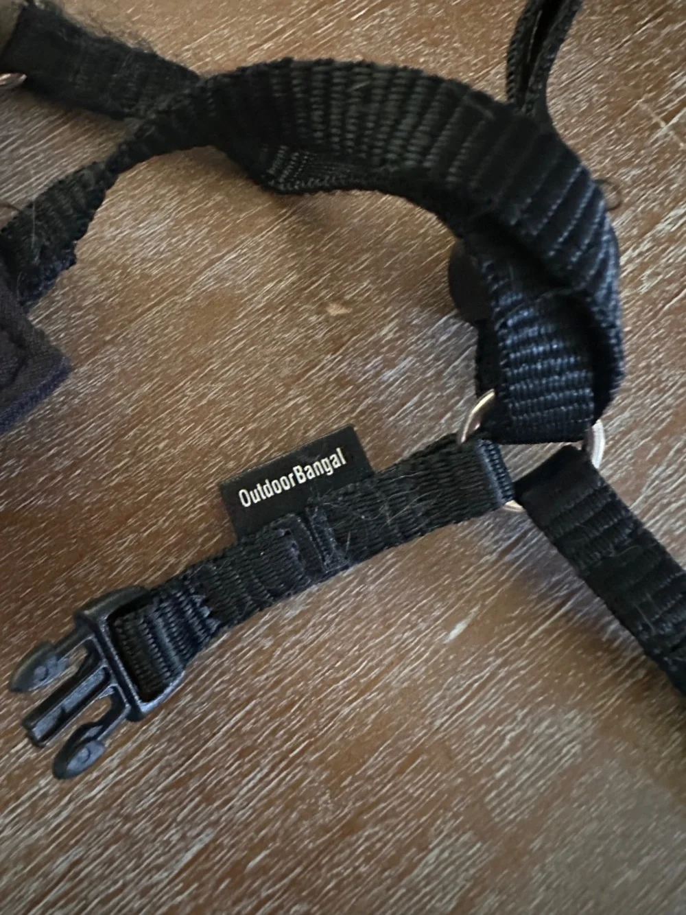 OUTDOOR Bengal Houdini Escape Proof Cat Harness - Black - Small